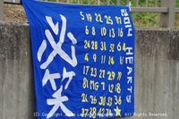 9月8日・東京家政学院vs聖心女子